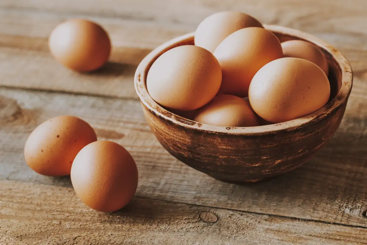 Oeufs frais